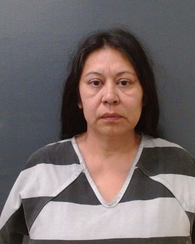 HARKER, MELINDA arrest record in Comal County, Texas HARKER, MELINDA arrested in Comal County, Texas mugshot