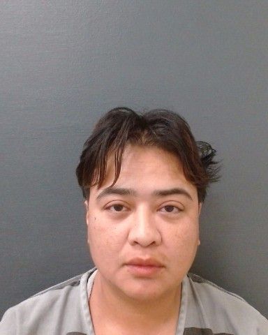 HENRIQUEZ, CARLA VERONICA arrest record in Comal County, Texas HENRIQUEZ, CARLA VERONICA arrested in Comal County, Texas mugshot