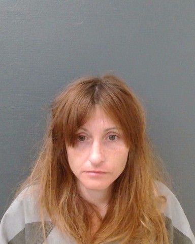 SINGLER, LAUREN ANNE arrest record in Comal County, Texas SINGLER, LAUREN ANNE arrested in Comal County, Texas mugshot