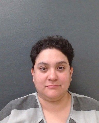 DELACERDA, AMANDA arrest record in Comal County, Texas DELACERDA, AMANDA arrested in Comal County, Texas mugshot