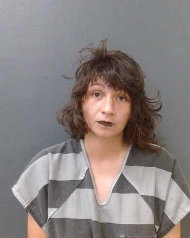 ESCOBAR, BETHANY EVELYN arrest record in Comal County, Texas ESCOBAR, BETHANY EVELYN arrested in Comal County, Texas mugshot