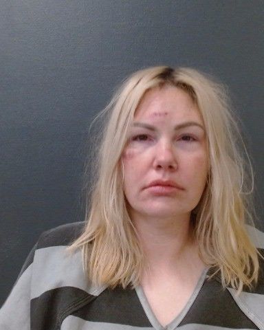 REEVES, LANE MARIE arrest record in Comal County, Texas REEVES, LANE MARIE arrested in Comal County, Texas mugshot