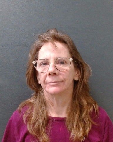 COOK, CHRISTINA KAY arrest record in Comal County, Texas COOK, CHRISTINA KAY arrested in Comal County, Texas mugshot