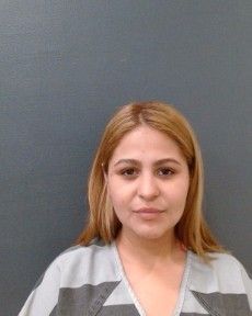 MARTINEZ-JAIMES, BREETANY arrest record in Comal County, Texas MARTINEZ-JAIMES, BREETANY arrested in Comal County, Texas mugshot