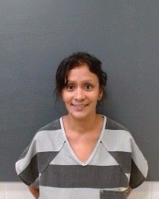 DEIR, ANDREA arrest record in Comal County, Texas DEIR, ANDREA arrested in Comal County, Texas mugshot