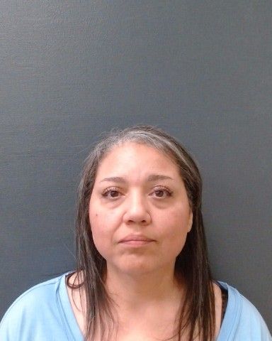 SCHMIDT, AMY RENEE arrest record in Comal County, Texas SCHMIDT, AMY RENEE arrested in Comal County, Texas mugshot
