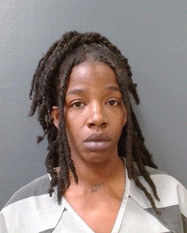 MARTIN, SHAINA LA-NE arrest record in Comal County, Texas MARTIN, SHAINA LA-NE arrested in Comal County, Texas mugshot