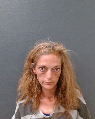 ARROYO, MONICA VAUGHN arrest record in Comal County, Texas ARROYO, MONICA VAUGHN arrested in Comal County, Texas mugshot