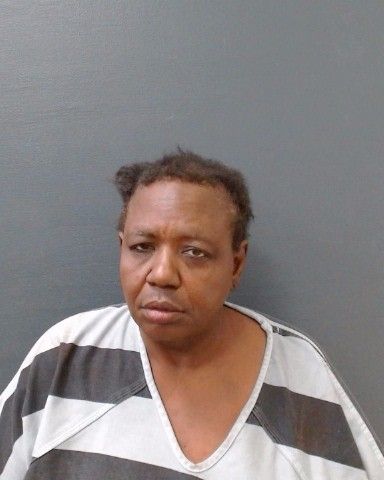 LEWIS, LINDA KAY arrest record in Comal County, Texas LEWIS, LINDA KAY arrested in Comal County, Texas mugshot