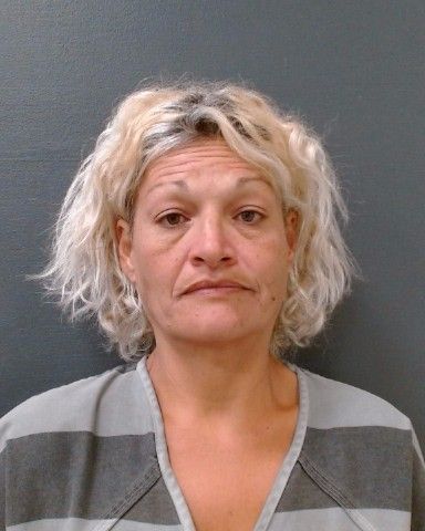 BERMEA, MARIA ELENA arrest record in Comal County, Texas BERMEA, MARIA ELENA arrested in Comal County, Texas mugshot