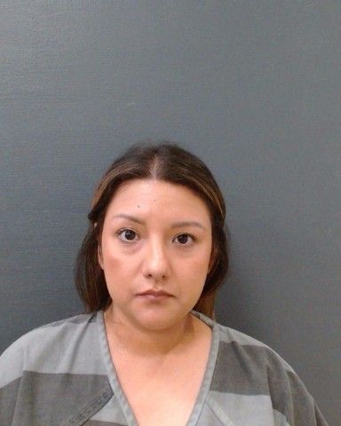 MARTINEZ, LUCERO RUBI arrest record in Comal County, Texas MARTINEZ, LUCERO RUBI arrested in Comal County, Texas mugshot