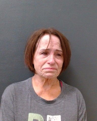 MARKS, DANA DANEE arrest record in Comal County, Texas MARKS, DANA DANEE arrested in Comal County, Texas mugshot