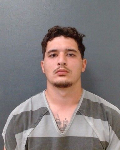 DENOBREGA, JOAO GEORGE, III arrest record in Comal County, Texas DENOBREGA, JOAO GEORGE, III arrested in Comal County, Texas mugshot