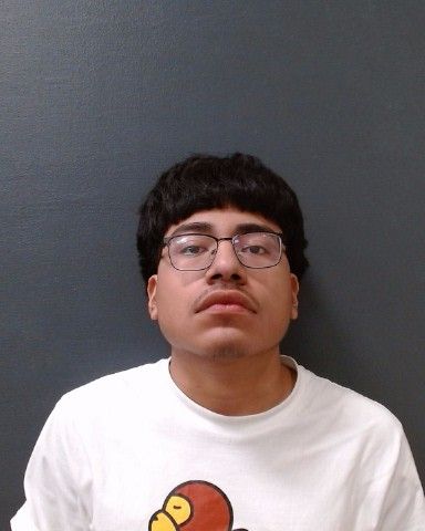 CARMONA, LUIS ENRIQUE arrest record in Comal County, Texas CARMONA, LUIS ENRIQUE arrested in Comal County, Texas mugshot