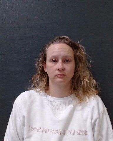 ANDERSON, EMILY MARIE arrest record in Comal County, Texas ANDERSON, EMILY MARIE arrested in Comal County, Texas mugshot
