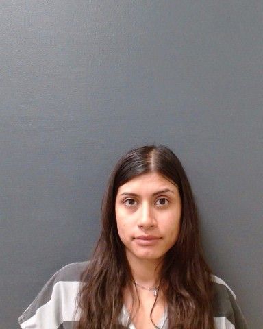 PEREZ, ELLIE MARIE arrest record in Comal County, Texas PEREZ, ELLIE MARIE arrested in Comal County, Texas mugshot