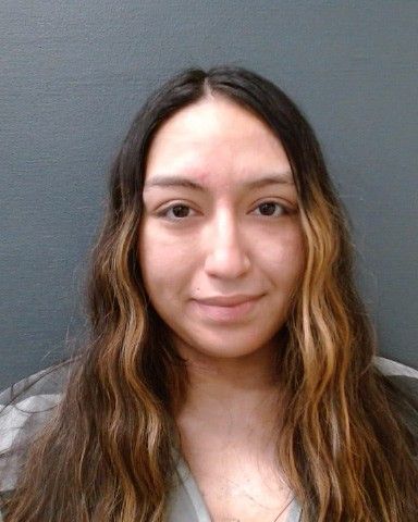 MEDELLIN, GABRIELLA RENEE arrest record in Comal County, Texas MEDELLIN, GABRIELLA RENEE arrested in Comal County, Texas mugshot