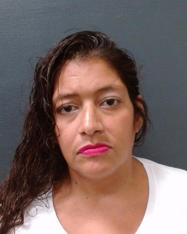 RAMIREZ, RACHEL ANN arrest record in Comal County, Texas RAMIREZ, RACHEL ANN arrested in Comal County, Texas mugshot