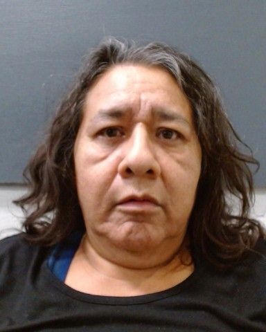 RAMIREZ, MARY ALICE arrest record in Comal County, Texas RAMIREZ, MARY ALICE arrested in Comal County, Texas mugshot