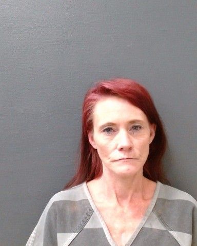 MITCHELL, CHELSEA LYNNE arrest record in Comal County, Texas MITCHELL, CHELSEA LYNNE arrested in Comal County, Texas mugshot