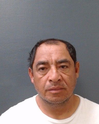 RONDAN-GARCIA, LUIS arrest record in Comal County, Texas RONDAN-GARCIA, LUIS arrested in Comal County, Texas mugshot