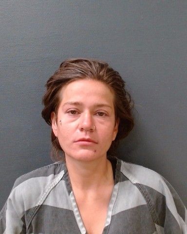 FREMAULT, LINDSEY DENISE arrest record in Comal County, Texas FREMAULT, LINDSEY DENISE arrested in Comal County, Texas mugshot