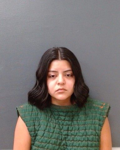 OROCIO, YULIANA arrest record in Comal County, Texas OROCIO, YULIANA arrested in Comal County, Texas mugshot