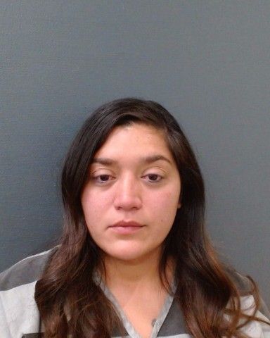 JOUETT, ELENA MARIE arrest record in Comal County, Texas JOUETT, ELENA MARIE arrested in Comal County, Texas mugshot