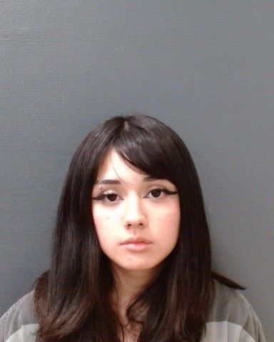DONNELLY, NADIA NICOLE arrest record in Comal County, Texas DONNELLY, NADIA NICOLE arrested in Comal County, Texas mugshot