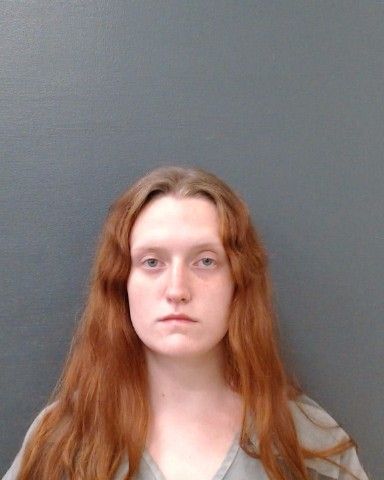 HARDING, SHYANN WILLOW arrest record in Comal County, Texas HARDING, SHYANN WILLOW arrested in Comal County, Texas mugshot