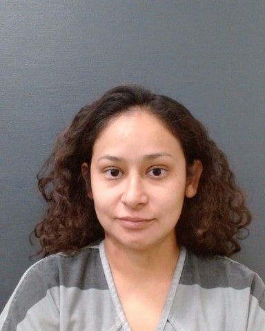 PEREZ, MONICA DENISE arrest record in Comal County, Texas PEREZ, MONICA DENISE arrested in Comal County, Texas mugshot