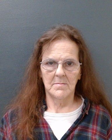 GOLLA, ELAINE arrest record in Comal County, Texas GOLLA, ELAINE arrested in Comal County, Texas mugshot