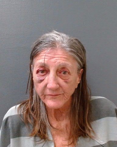 GREGORY, EMELIE JANE arrest record in Comal County, Texas GREGORY, EMELIE JANE arrested in Comal County, Texas mugshot