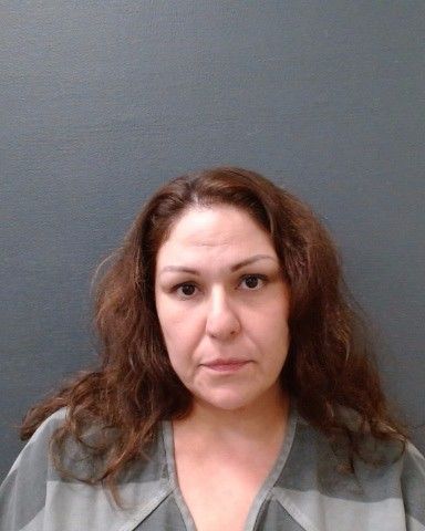 NEVAREZ, MARIBEL arrest record in Comal County, Texas NEVAREZ, MARIBEL arrested in Comal County, Texas mugshot