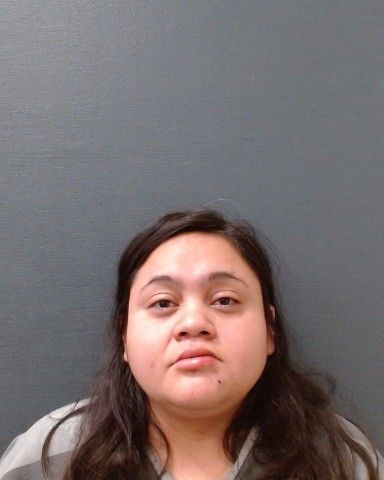 QUEZADA, BRIANNA MARIE arrest record in Comal County, Texas QUEZADA, BRIANNA MARIE arrested in Comal County, Texas mugshot