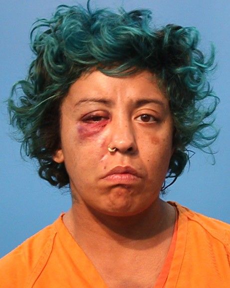 Salinas, Palmira arrest record in Brazoria County, Texas Salinas, Palmira arrested in Brazoria County, Texas mugshot
