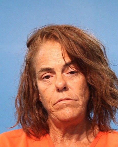 Alvi, Nina Lee arrest record in Brazoria County, Texas Alvi, Nina Lee arrested in Brazoria County, Texas mugshot