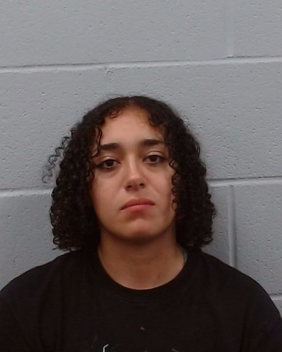 Toro Yehya, Andrea arrest record in Hays County, Texas Toro Yehya, Andrea arrested in Hays County, Texas mugshot