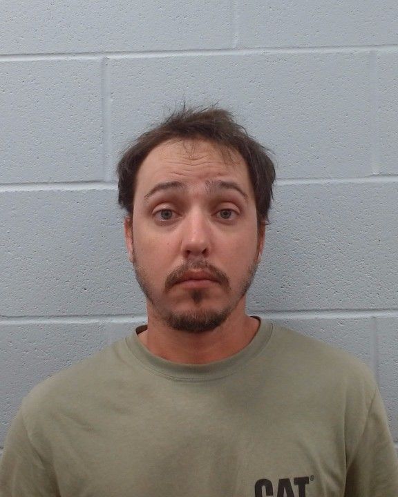 Seitz, Michael Ramon arrest record in Hays County, Texas Seitz, Michael Ramon arrested in Hays County, Texas mugshot