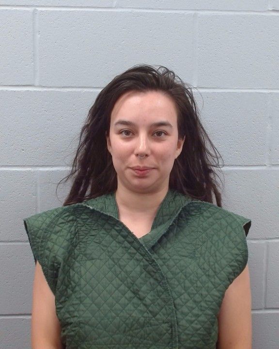 Wilson, Ashley Ann arrest record in Hays County, Texas Wilson, Ashley Ann arrested in Hays County, Texas mugshot