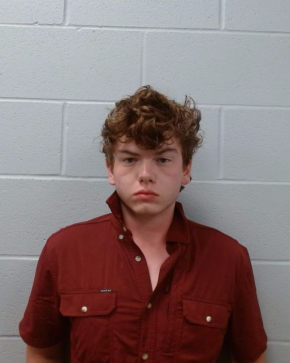 Davis, Braxton Christopher arrest record in Hays County, Texas Davis, Braxton Christopher arrested in Hays County, Texas mugshot