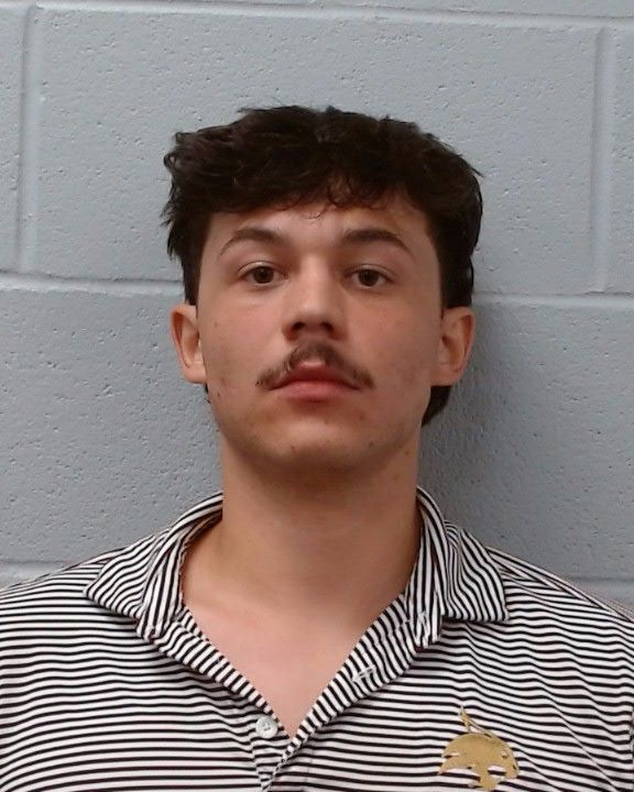 Gonzalez, Nelson K arrest record in Hays County, Texas Gonzalez, Nelson K arrested in Hays County, Texas mugshot