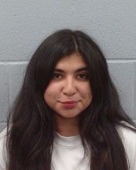 Rodriguez, Michelle arrest record in Hays County, Texas Rodriguez, Michelle arrested in Hays County, Texas mugshot