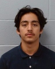 Vences Loza, Armando Jesus arrest record in Hays County, Texas Vences Loza, Armando Jesus arrested in Hays County, Texas mugshot