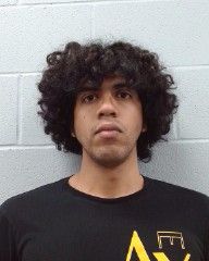 Palafox Zaldivar, Oswaldo arrest record in Hays County, Texas Palafox Zaldivar, Oswaldo arrested in Hays County, Texas mugshot