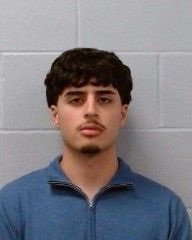 Ortiz-Fernandez, Alejandro arrest record in Hays County, Texas Ortiz-Fernandez, Alejandro arrested in Hays County, Texas mugshot