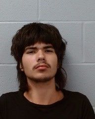 Marks, Christian Isaiah arrest record in Hays County, Texas Marks, Christian Isaiah arrested in Hays County, Texas mugshot