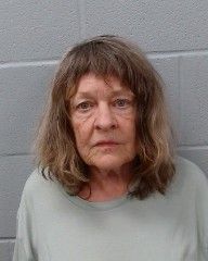 Neilson, Vivian Louise arrest record in Hays County, Texas Neilson, Vivian Louise arrested in Hays County, Texas mugshot