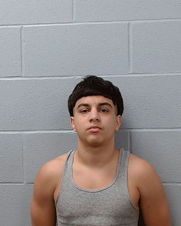 Serna, Edwin, Jr. arrest record in Hays County, Texas Serna, Edwin, Jr. arrested in Hays County, Texas mugshot