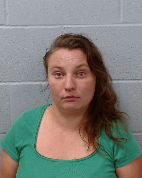 Schempp, Erin Lorraine arrest record in Hays County, Texas Schempp, Erin Lorraine arrested in Hays County, Texas mugshot